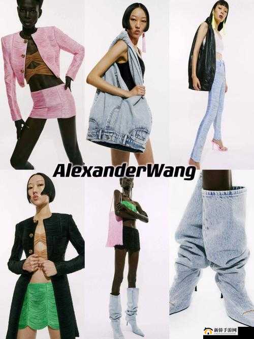 ALEXANDERWANG 妈妈评测：对其产品及品牌的全面分析与解读