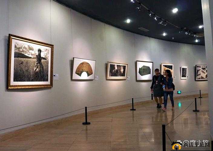 43417 大但人文艺术图片：展现独特艺术魅力与文化内涵