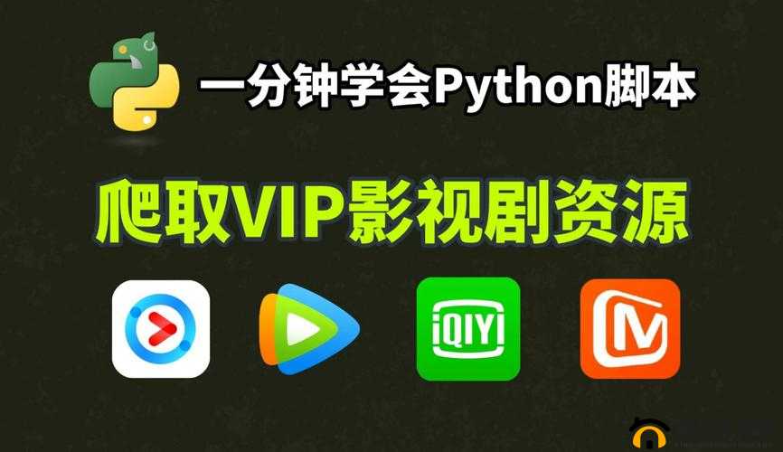 python 在线观看入口：畅享精彩影视资源