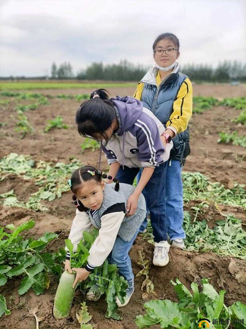 体验二人世界，探索拔萝卜的趣味