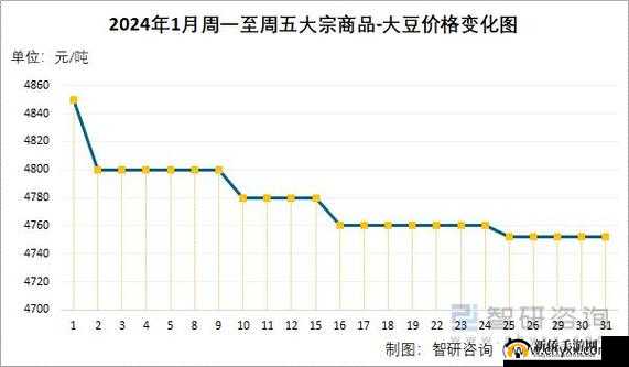 大豆行情网 51dadou2024：全面了解大豆市场的权威平台