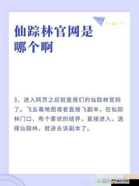 仙踪林网站免费入口怎么注册详细步骤及注册指南