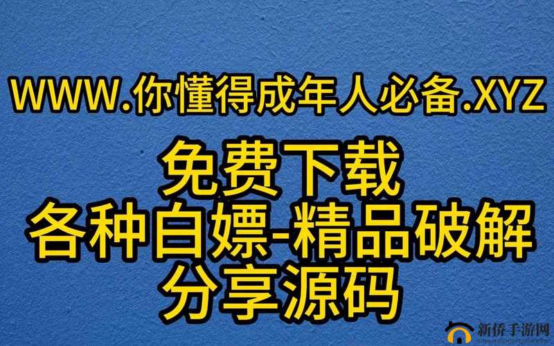 毛片推荐网站：满足你所有需求的在线资源平台