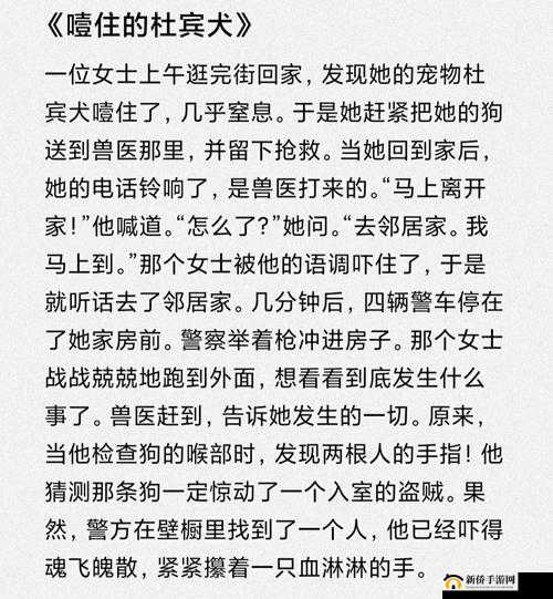 公交车上的舒婷 1 至 20 全文小说精彩呈现