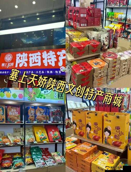 国产一区：独具特色的国产产品汇聚之地