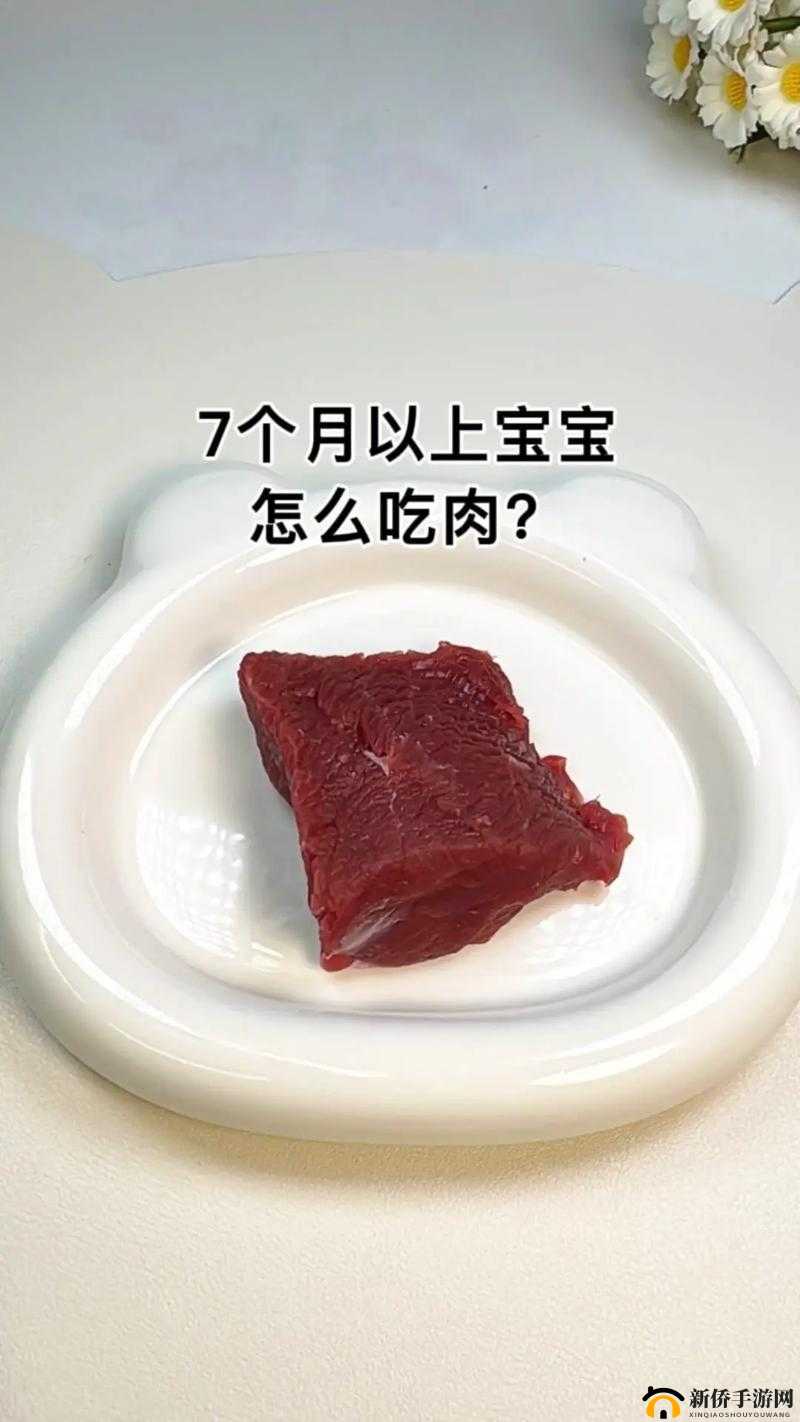 多大宝宝吃肉不用剁碎：不同年龄段宝宝吃肉的区别与注意事项