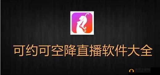 可约可空降的大秀 APP：打造全新社交体验