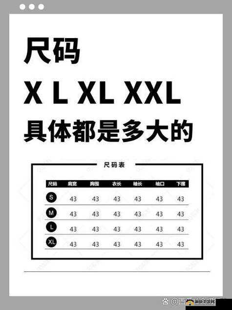 我的上司尺码为 XL 相关话题探讨