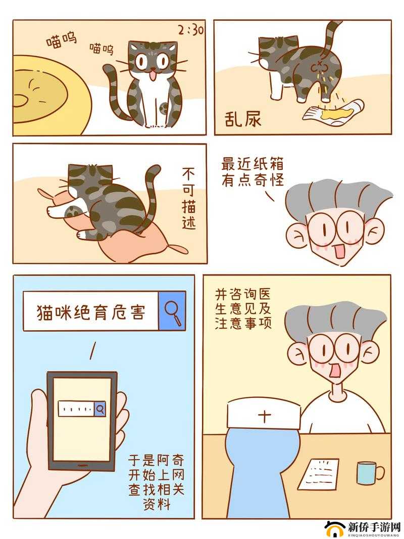 家猫的日常攻略，一部温馨逗趣、记录生活点滴的完整漫画故事