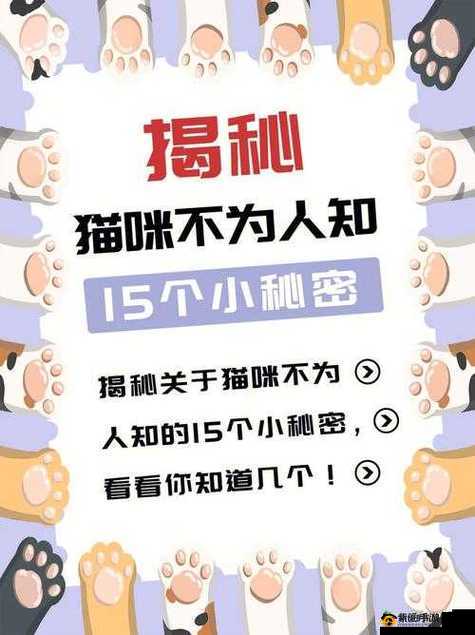 暗黑爆料免费入口：揭露不为人知的秘密