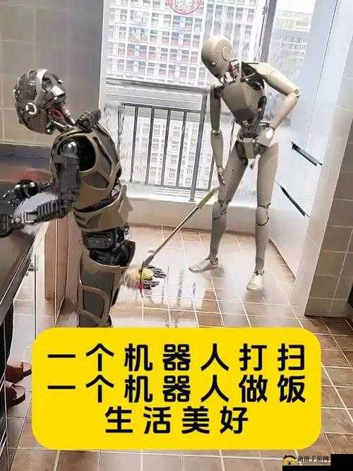 2025年春节前夕，机器人晚餐攻略，掌握接住食物的艺术与科学