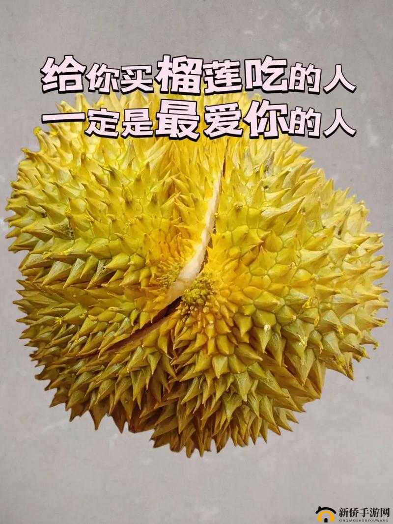 免费榴莲视频让你榴莲忘返：快来一起体验榴莲的独特魅力吧