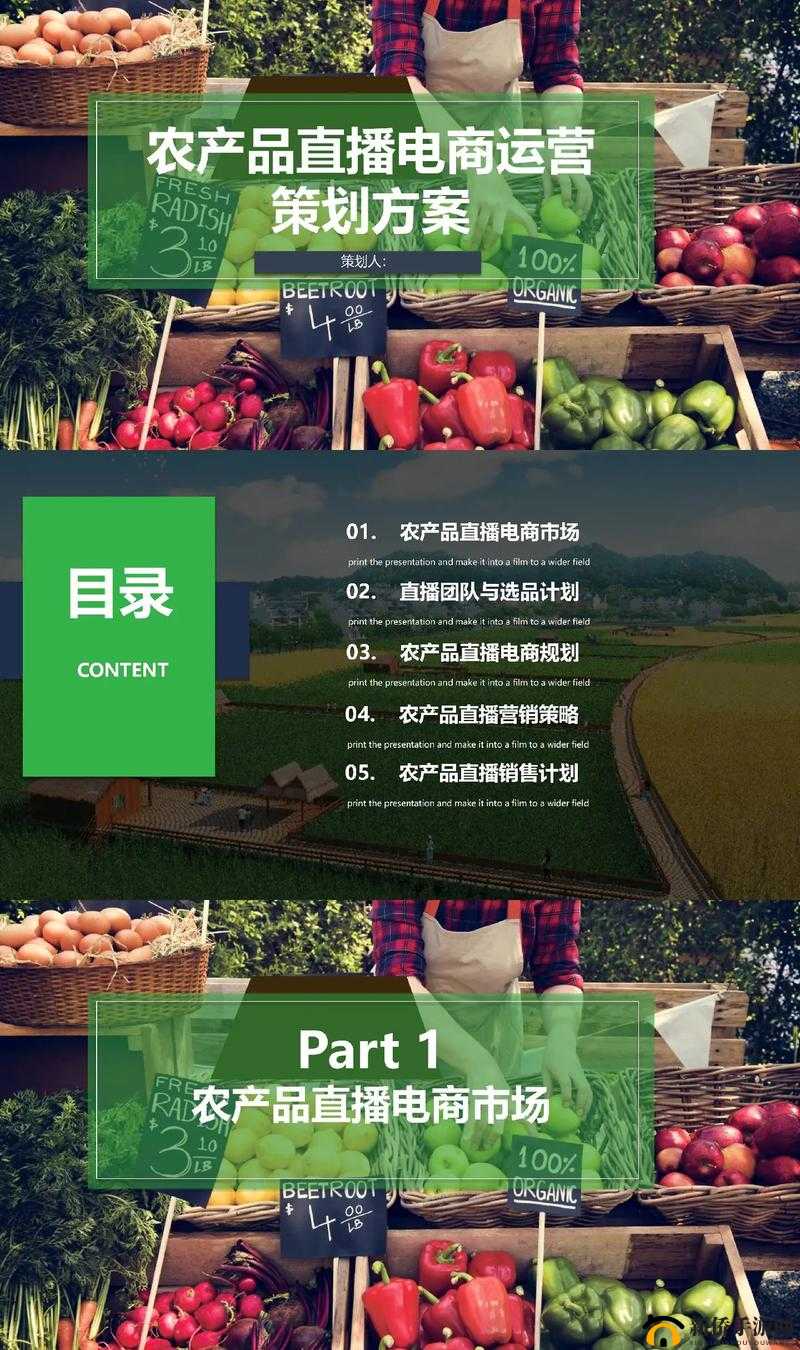 成品 PPT 网站免费直播-带你领略精彩的 PPT 世界