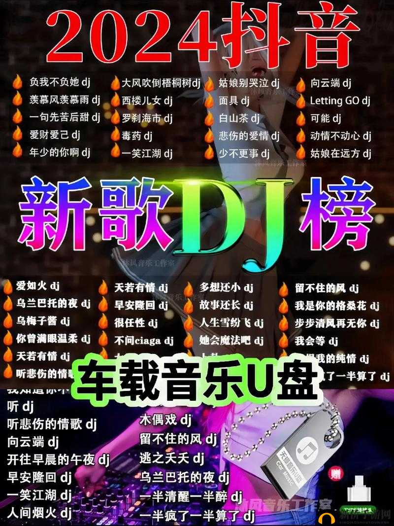 国产 Chinese 男男 DJ 网站：引领独特音乐潮流