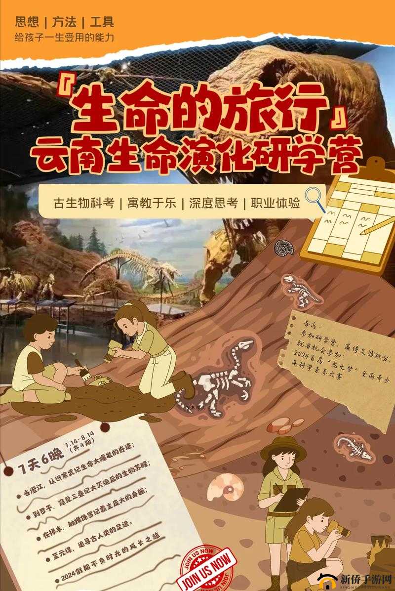 探索生命之旅：从腹部到丛林的奇妙历程