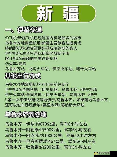 探索新疆 XXXX69 背后的独特魅力与故事