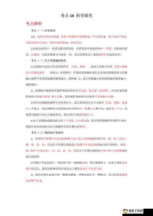 B 与 B 为什么不一样之深入探究其背后的原因及差异表现