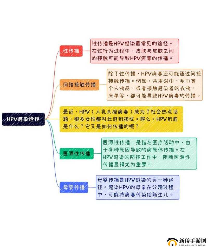 HPV 感染与性接触关系解析：深入探究其内在关联和影响因素