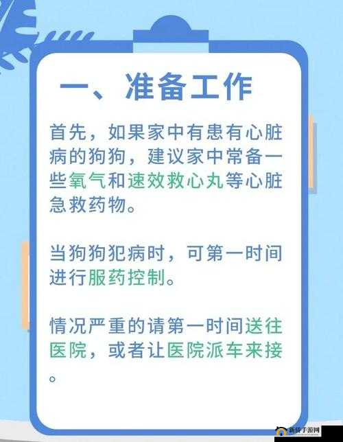 城市宠物医院高效应对宠物急救电话，保障宠物生命安全的关键举措