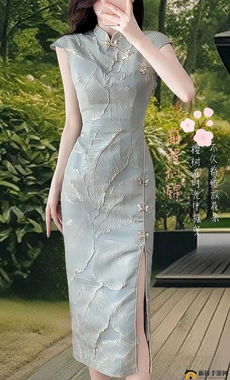 avove 旗袍——传承经典之美的优雅服饰