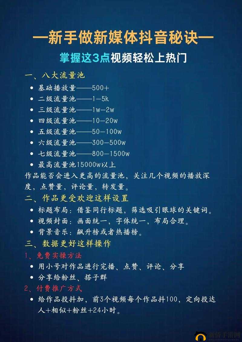 提升 SEO 短视频网页入口流量的技巧与方法