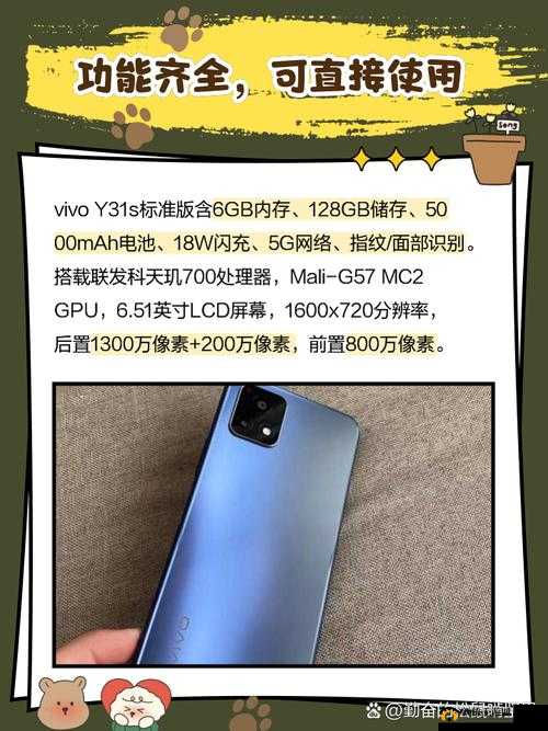 灵感成色好的 y31：探索其独特魅力与无限可能