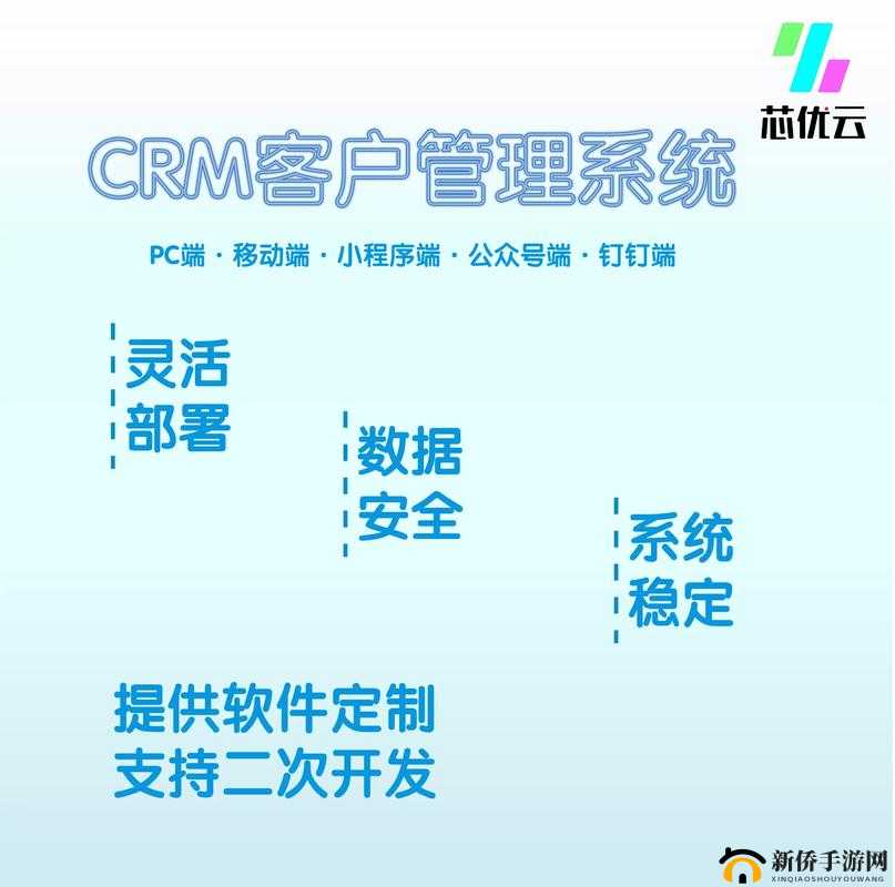 国产 CRM 系统 91：助力企业提升客户管理效能的强大工具