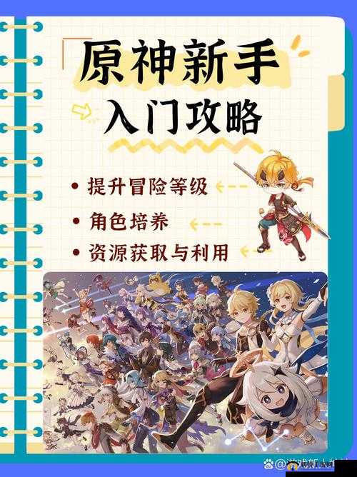 提升原神游戏体验，资源管理二十一条技巧的重要性及高效实践策略