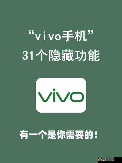 下载 3.0.3 每天无限免费 vivo ：让您畅享便捷服务体验