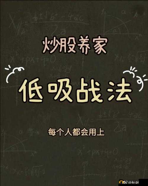 佛系玩家攻略，掌握资源管理艺术，轻松苟活到决赛圈的秘诀