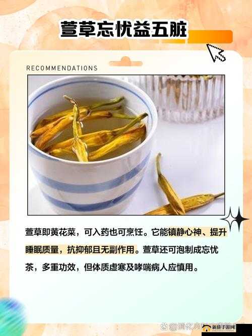 久久丫忘忧草：美味与健康的完美结合