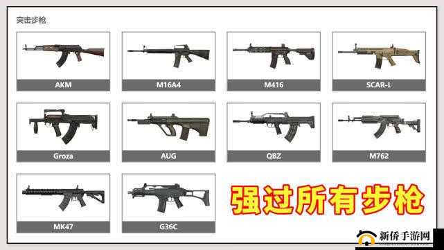 2025年春节前夕，SLR与SKS射手步枪展开激烈的双雄对决