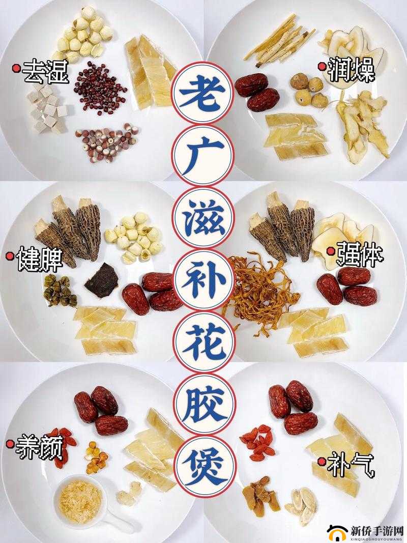 如何制作最佳的人与狗胶配方：揭秘独特的传统工艺