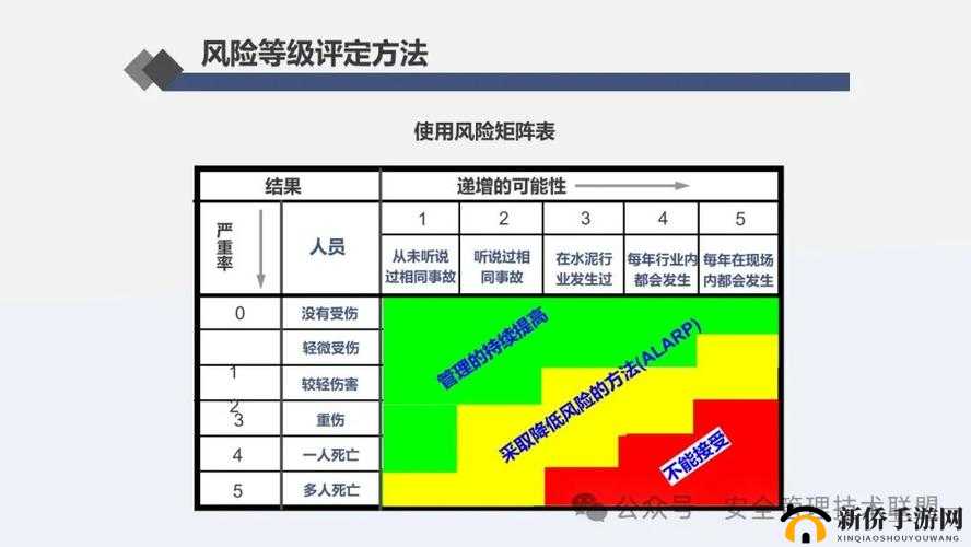 九幺高危风险 9：深度解析其潜在威胁与应对策略