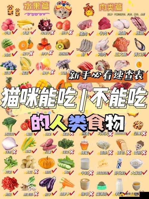 饥饿猫咪觅食指南，实用攻略助您确保爱猫顺利吃到食物