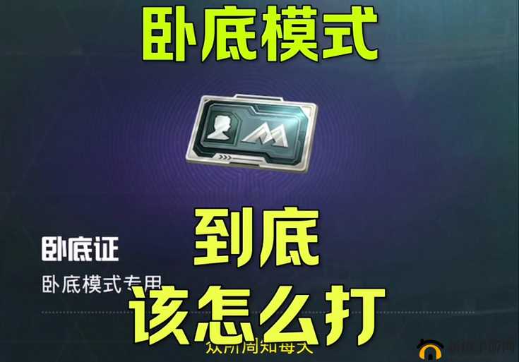 和平精英深度攻略，老玩家揭秘，玩转谁是卧底模式技巧与策略