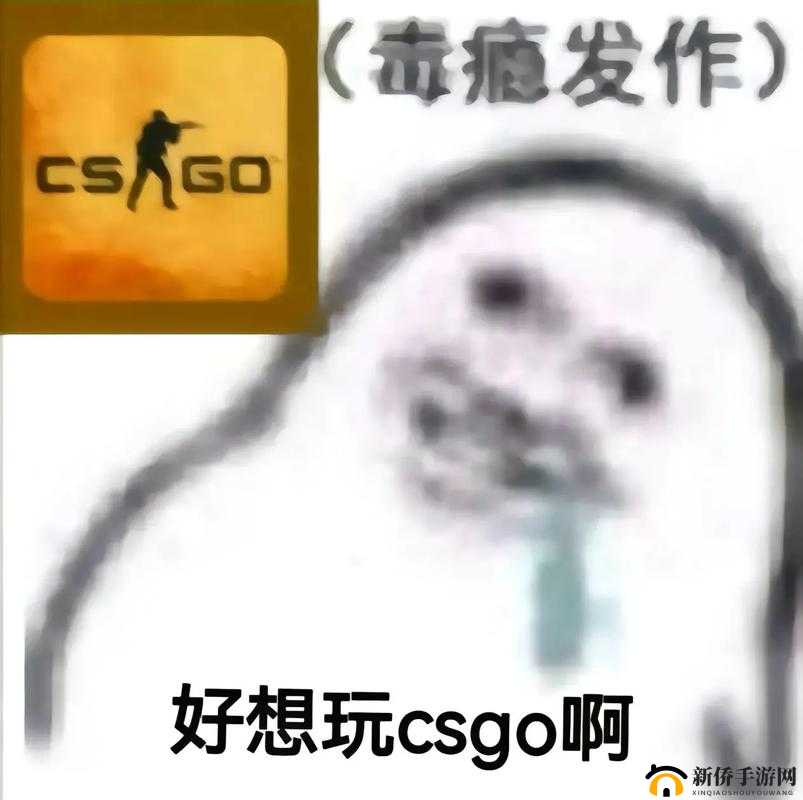 csgo 暴躁猛女骂人：暴躁老哥的游戏世界