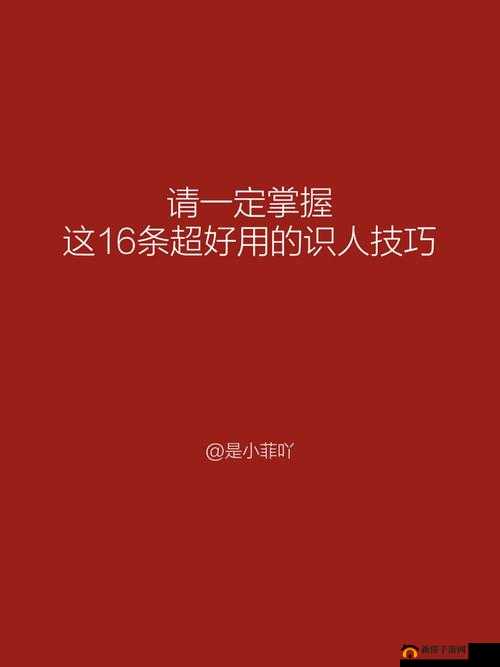 叫我官老爷玩法深度解析，掌握资源管理技巧对游戏成功的至关重要性