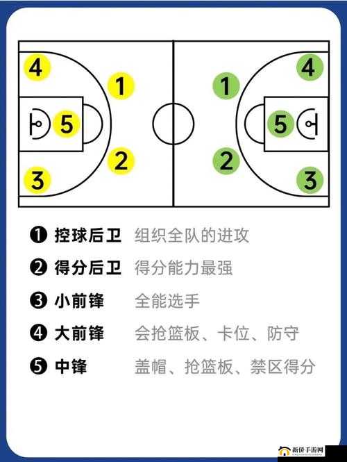 移动篮球经理必备，深度解析经营技巧与全面攻略指南