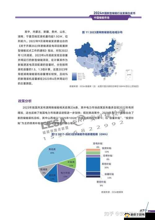 Chinain20years 未来发展前景与机遇展望