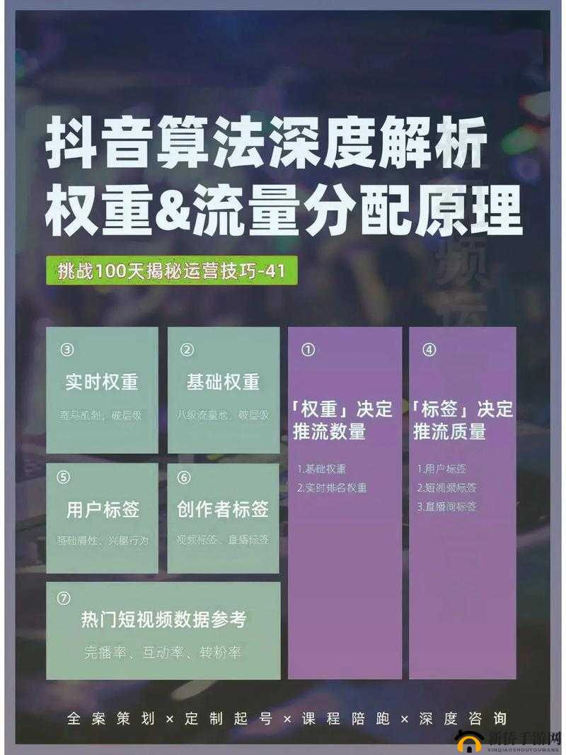 后 SEO 短视频页入口引流：打造高效流量引入策略与技巧