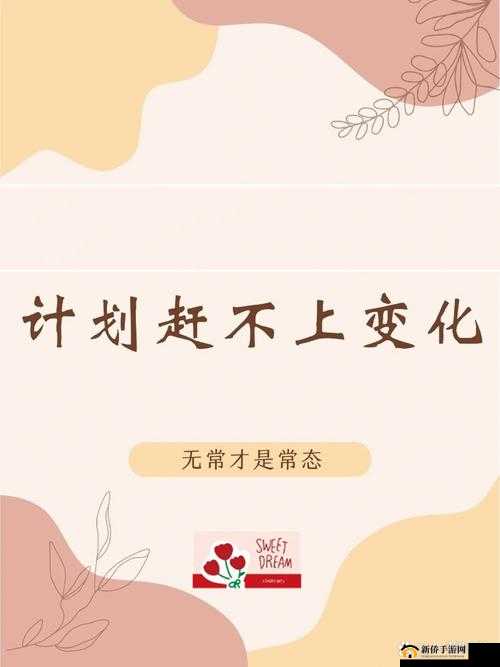 可不可以干湿解释：对其含义与应用的深入探讨与分析