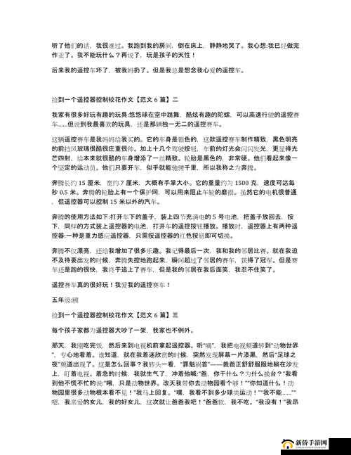 小玩具遥控器被别人捡到：一段引发意外的奇妙经历