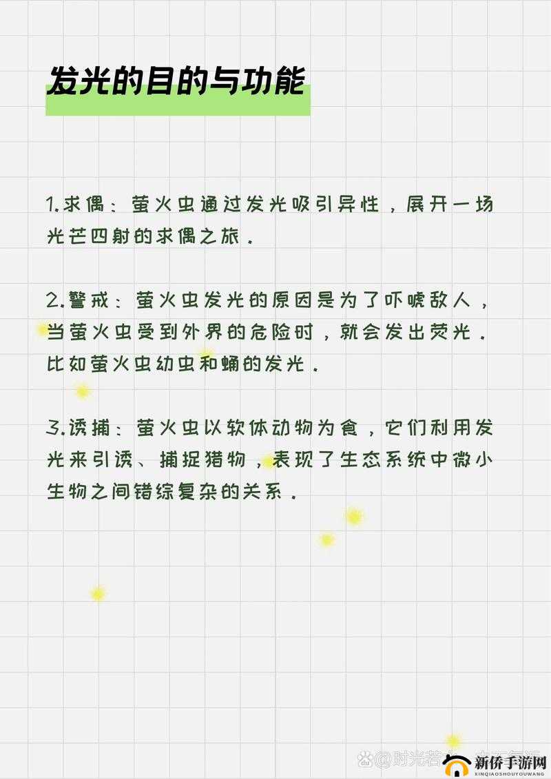 摩尔庄园夏夜探险指南，捕捉闪耀精灵萤火虫必备操作秘籍