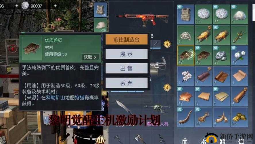 黎明觉醒游戏攻略，30级玩家必备，全面解析武器选择指南