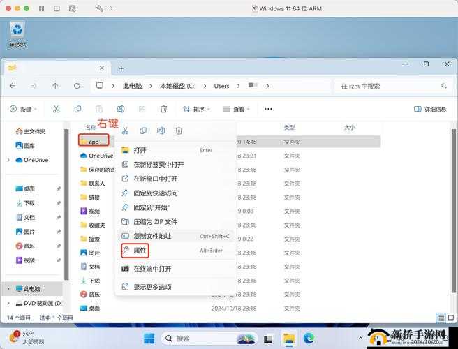 老太太VPSWINDOWS45使用指南：如何在Windows系统上高效运行虚拟专用服务器？