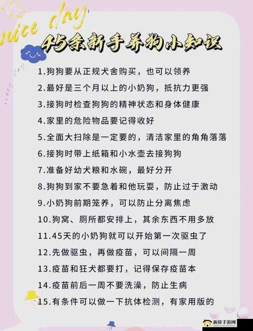 60条狗的日常护理与健康管理：全面指南与实用技巧分享