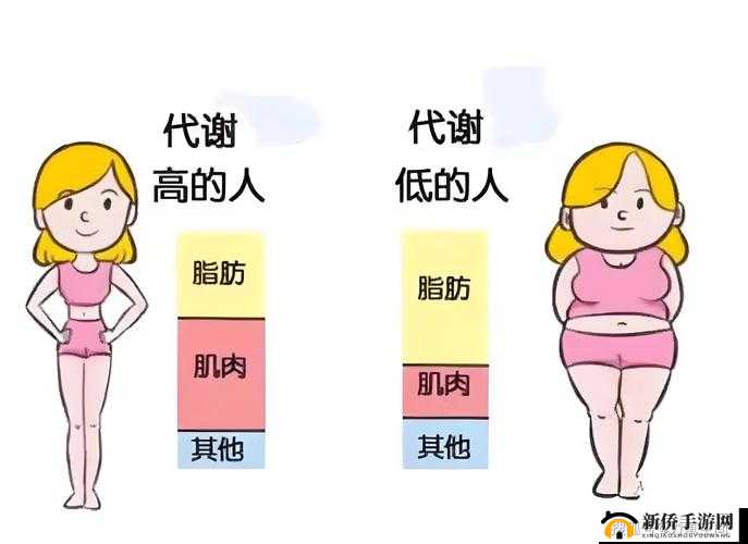 2020年女性体内代谢生成的关键因素及其对健康的影响有哪些？