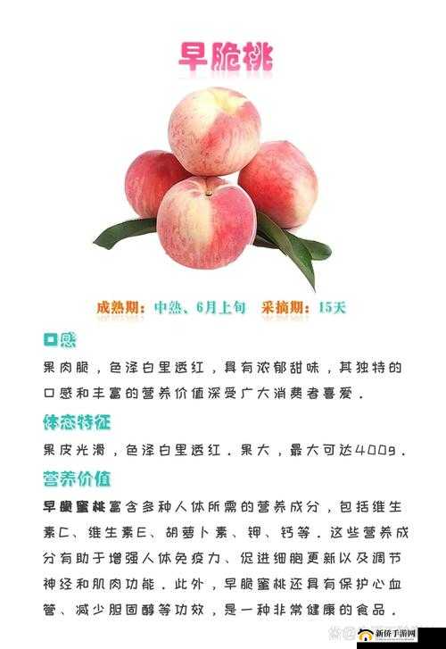 红桃的寓意和象征是什么？www..com 解答