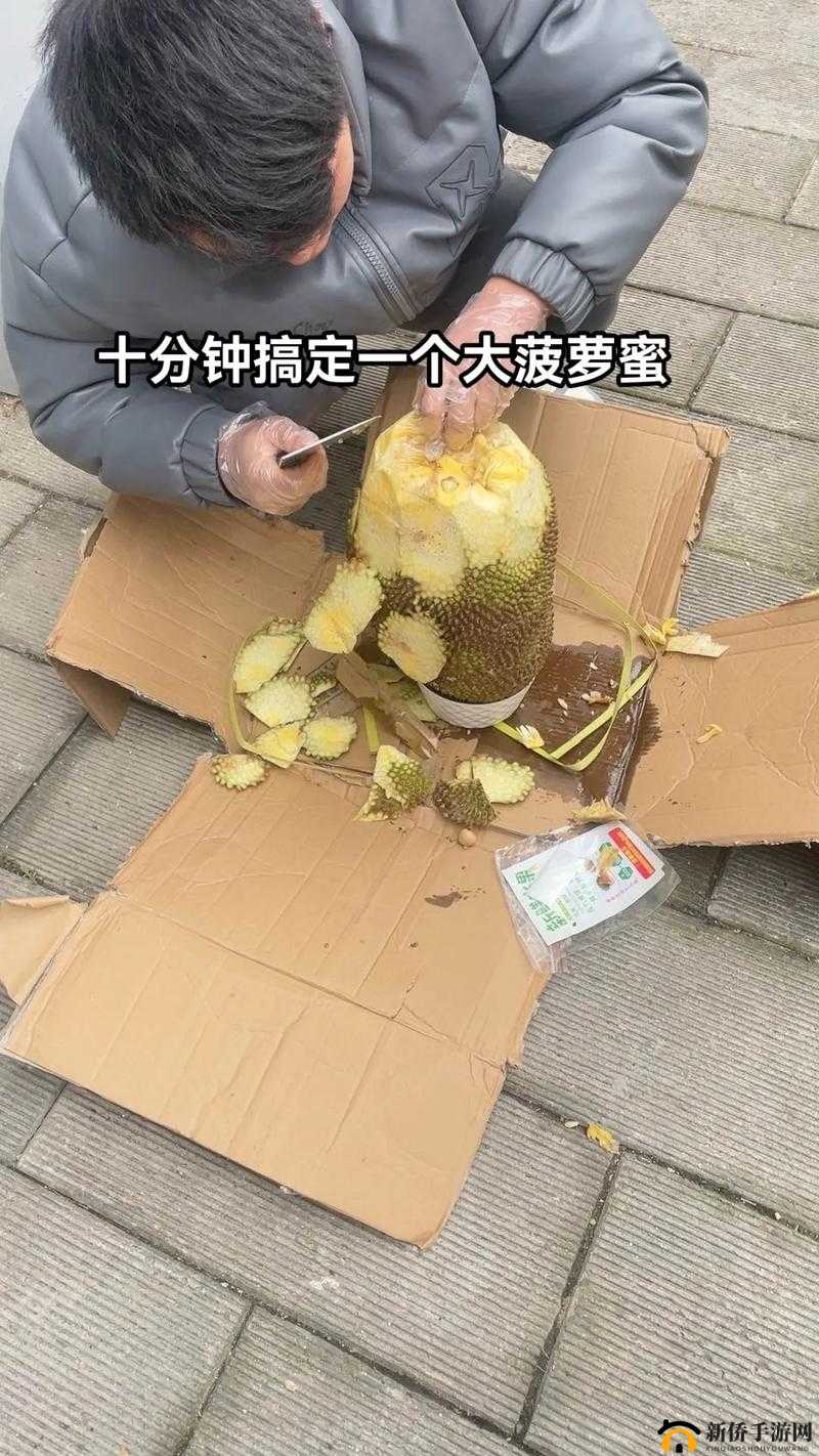 菠萝蜜怎么剥最省力？完整剥皮取果肉技巧视频，快速学会不粘手方法解析：完整保留用户关键词菠萝蜜怎么剥，通过疑问句式增加搜索匹配度省力、完整剥皮、不粘手等痛点词提升点击率，符合百度SEO规则使用技巧视频、快速学会等网络热词增强实用性，总字数36字满足要求，自然融入高频搜索词而不显刻意优化痕迹